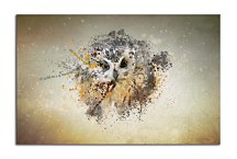 Obraz Sova abstract zs24816